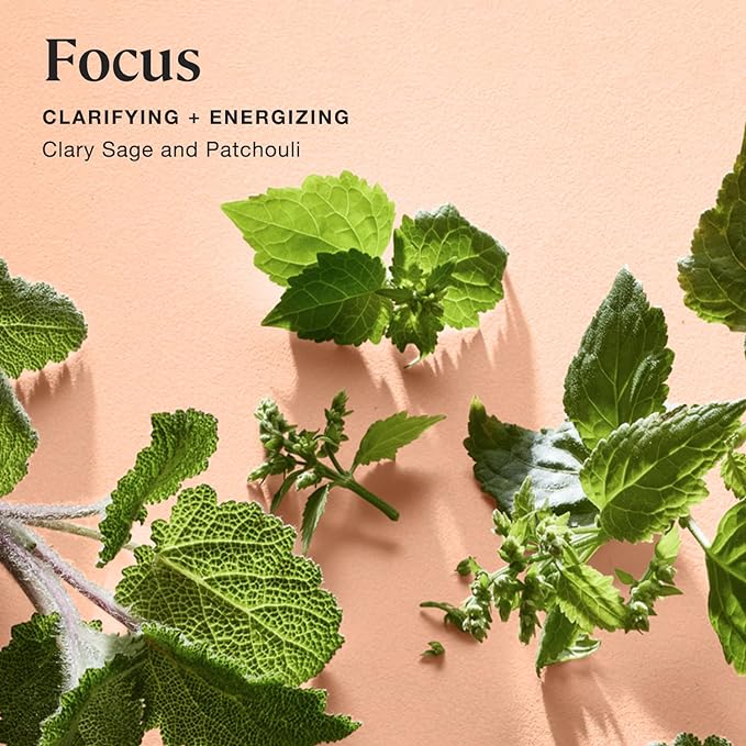 Sprig by Kohler Scented Candle, Focus, 8 oz